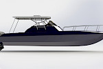 31 ft Bow rider thumbnail